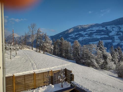 a snow covered hill with trees and a mountain at Ferienwohnung Familie Fiechtl in Fügenberg