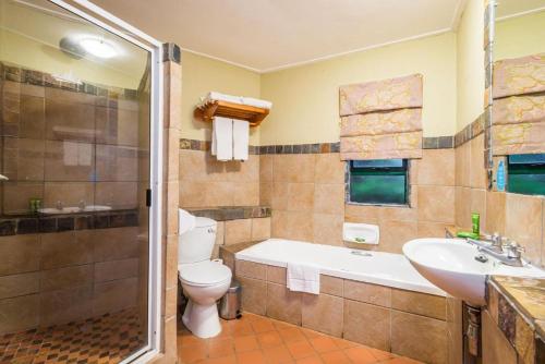 a bathroom with a tub and a toilet and a sink at aha Alpine Heath Resort in Bergville