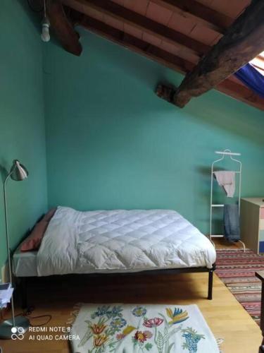 une chambre avec un lit avec un mur bleu dans l'établissement Stanza privata vicino a parma in casa rurale, à Pratoretto