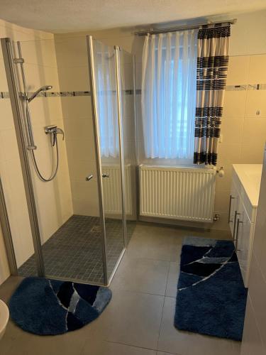 a bathroom with a shower and two blue rugs at Schönes Ferienhaus in Braubach in Braubach