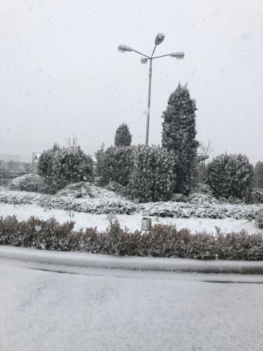 een met sneeuw bedekte straat met een lichtpaal en struiken bij Perinthos Hotel in Anchialos