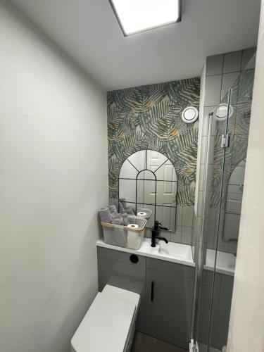 a bathroom with a toilet and a sink and a shower at The Wee Studio Flat in Paisley