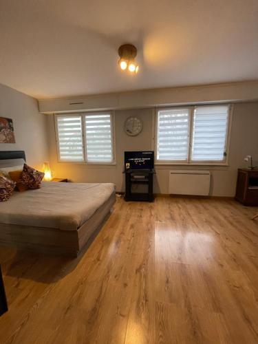 une chambre avec un lit et un bureau dans l'établissement Adorable studio avec un parking prive, à Strasbourg