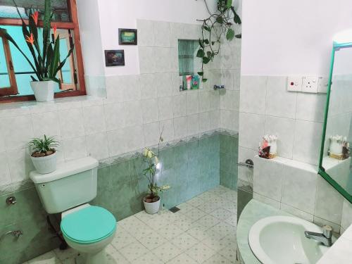 La salle de bains est pourvue de toilettes et d'un lavabo. dans l'établissement "GreenHeart" Eco Villa - Inspire the Nature with Fresh Air- Specious Top Floor with Balcony views', à Maharagama