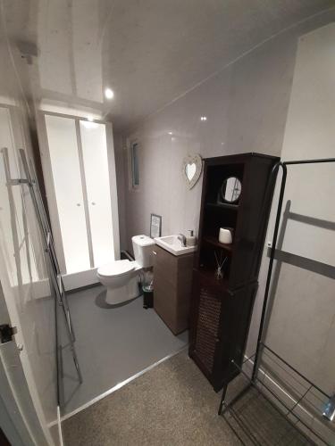 a bathroom with a toilet and a sink at Ramblers Rest in Meopham