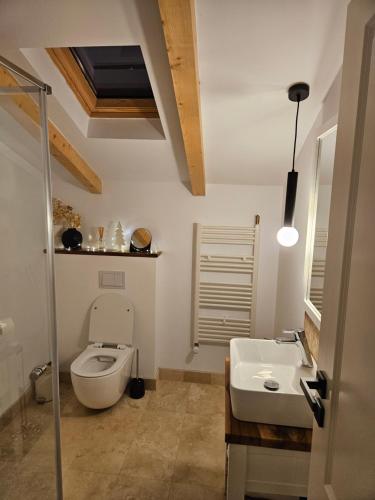 a bathroom with a toilet and a sink at Casa Mara Viseu de Sus in Vişeu de Sus