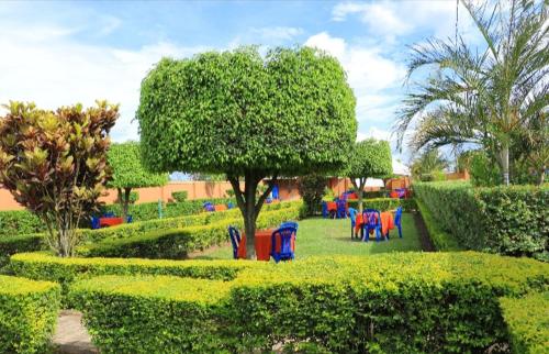 un grupo de sillas y un árbol en un parque en PrimeRose Hotel Mubende, en Mubende