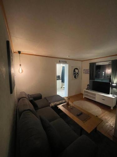a living room with a couch and a flat screen tv at Liten eldre og koselig studiohybel in Svolvær