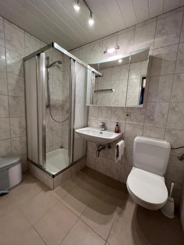 a bathroom with a shower and a toilet and a sink at Gästehaus Tauscher am Haldensee in Haldensee