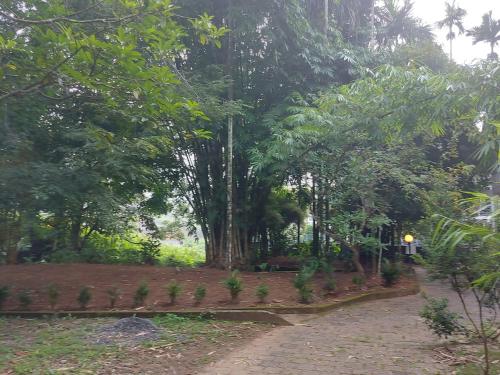 a path in a garden with trees and plants at B'camp Resorts & Homestays in Wayanad
