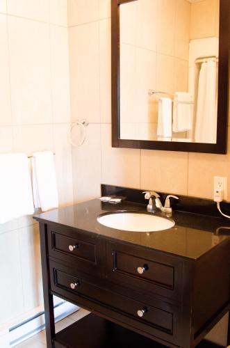 a bathroom with a sink and a mirror at Hôtel Écono-One in Amos