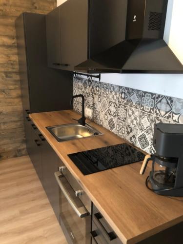 a kitchen with a sink and a counter top at Appartement Zirbenduft Ferienhaus Fuenf Sinne in Döbriach