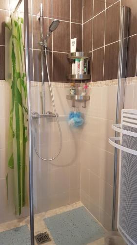 een douche met een douchekop in de badkamer bij Chambre chez l'habitant in Saint-Étienne