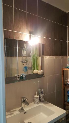 een badkamer met een wastafel en een spiegel bij Chambre chez l'habitant in Saint-Étienne