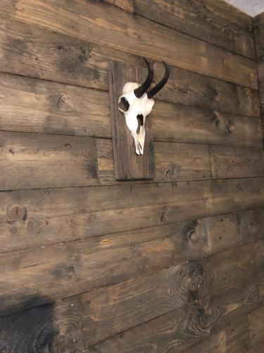 a cow head on a wall with a wooden wall at Appartement Zirbenduft Ferienhaus Fuenf Sinne in Döbriach