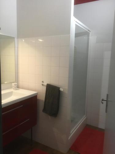 a bathroom with a shower and a sink and a mirror at GITE DU TREUIL in Ignaux