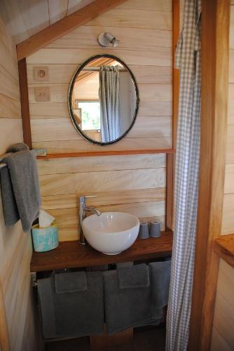 モンモリヨンにあるLa Cabaneの洗面台と鏡のあるバスルーム