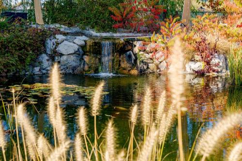 a pond with a waterfall in a garden at Casa Augsburg in Băneşti