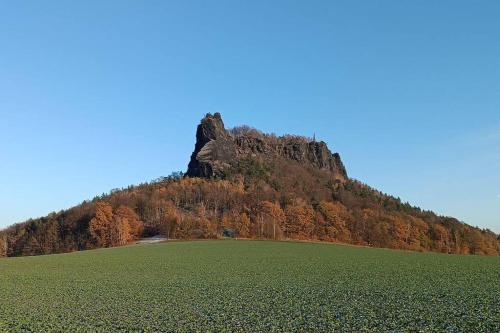 a large green field with a mountain in the background at Ferienwohnung im Fachwerkhaus in Sebnitz