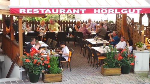 Επισκέπτες που μένουν στο Hotel Hörlgut
