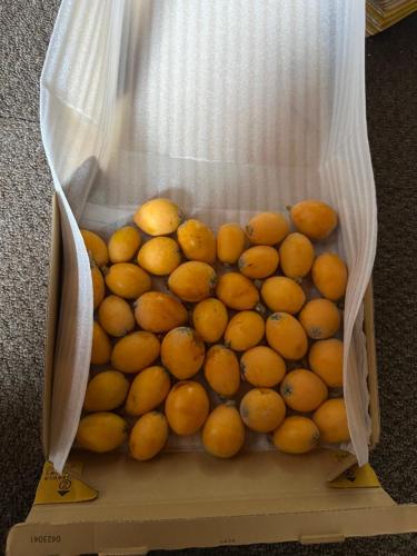 a bag of oranges sitting on top of a box at 長徳寺宿坊　Temple Hotel in Shingu