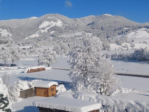 a snow covered mountain with a house and a tree at Apartment Traumblick in Unterammergau