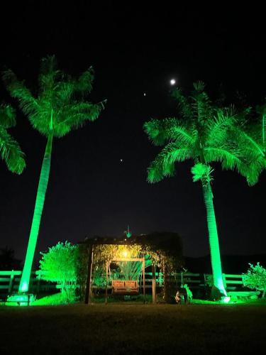 two palm trees at night with green lights at Contempla Joanópolis in Joanópolis