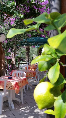 Taman di luar Hotel Augusta Garnì