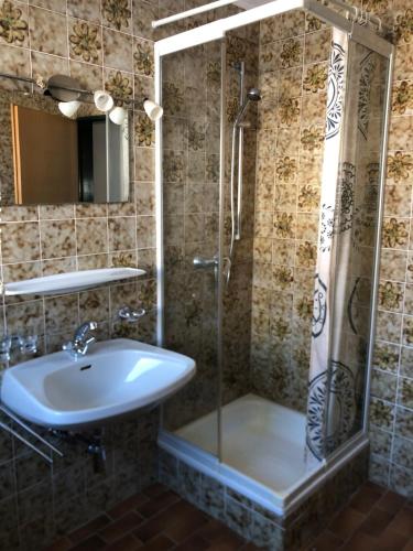 La salle de bains est pourvue d'un lavabo et d'une douche. dans l'établissement Appartement Grünfelder, à Oberperfuss