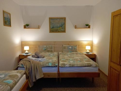 2 Einzelbetten in einem Zimmer mit 2 Lampen in der Unterkunft Apartments Ľubka in Zuberec