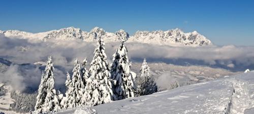 L'établissement Das Kaiserwohl Chalet en hiver