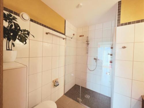 a bathroom with a shower and a toilet at Appartements Skida in Reith bei Kitzbühel