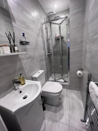 La salle de bains est pourvue d'une douche, de toilettes et d'un lavabo. dans l'établissement Flat in central London with large patio, à Londres