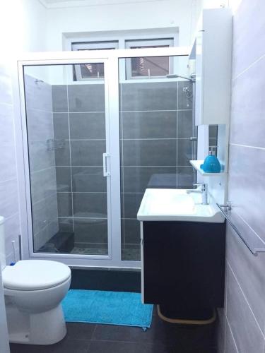 a bathroom with a shower and a toilet and a sink at Sonnige Ferienwohnung mit Wifi in Flic-en-Flac
