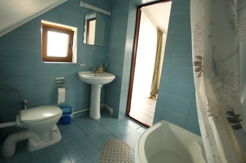 Baño azul con aseo y lavamanos en Pensiunea Dana, en Vatra Dornei