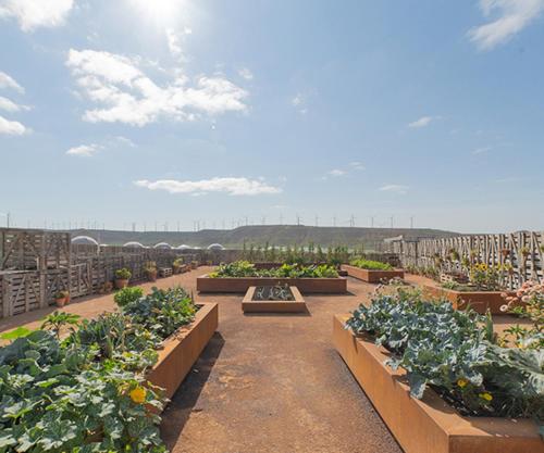 Giardino di Hotel Aire de Bardenas