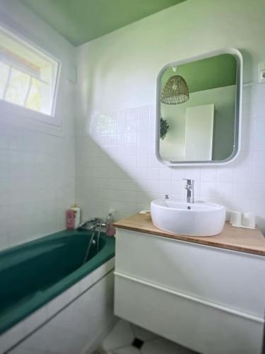 une salle de bain avec un lavabo, un miroir et une baignoire dans l'établissement Gite au coeur de la nature, à Villers-Patras
