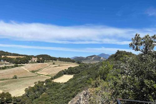 a view of a vineyard with mountains in the background at Pause spa sur la route du Ventoux adults only in Carpentras