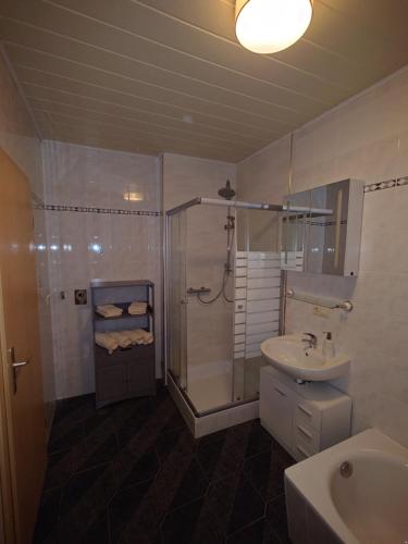 a bathroom with a shower and a sink at Ferienwohnung Brunow "In der Natur Zuhause" in Neundorf