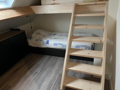 a bunk bed in a small room with a ladder at Christinahoeve Logies in Boskoop