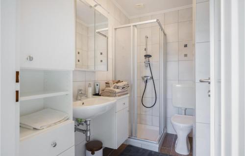 a bathroom with a shower and a sink and a toilet at Ferienhaus Mit Panoramablick in Eberau