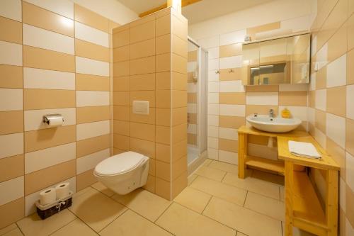 a bathroom with a toilet and a sink at Penzion Sokolovna in Kořenov