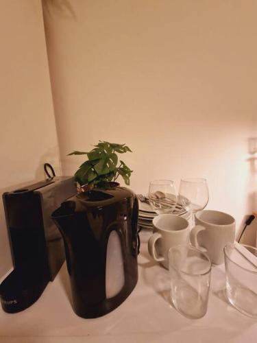 a plant in a pot on a table with glasses at Cozy Private Room 2 on a Busy Persian Restaurant in Eindhoven