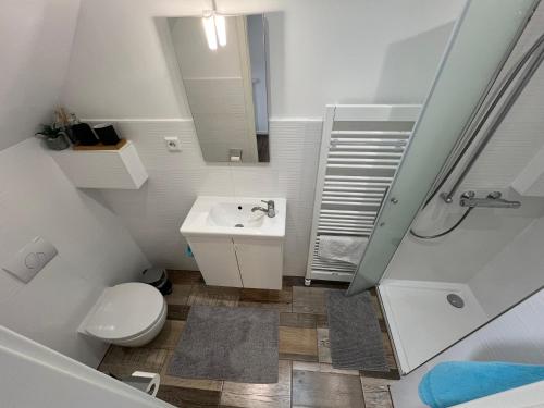ein Bad mit einem Waschbecken, einem WC und einer Dusche in der Unterkunft Fewo-Elbschlummer in Niegripp