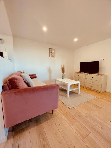 a living room with a couch and a tv at T1 bis rénové au centre d’Auch in Auch