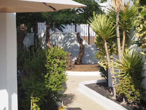 a garden with palm trees and an umbrella at Sea view with direct access to boulevard in Puerto del Carmen