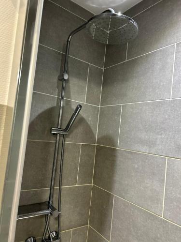a shower with a shower head in a bathroom at Les petits nids de Nina 1 in Fosses-La-Ville