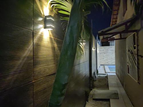 a palm tree next to a building at night at House beach in Camocim