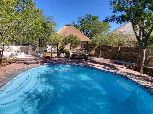 a swimming pool in a yard with a fence at Taaibos Bush Lodge in Hoedspruit