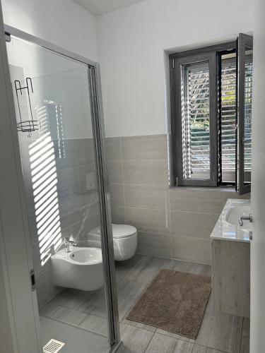 a bathroom with a shower and a sink and a toilet at le camelie del Lario in Grandate